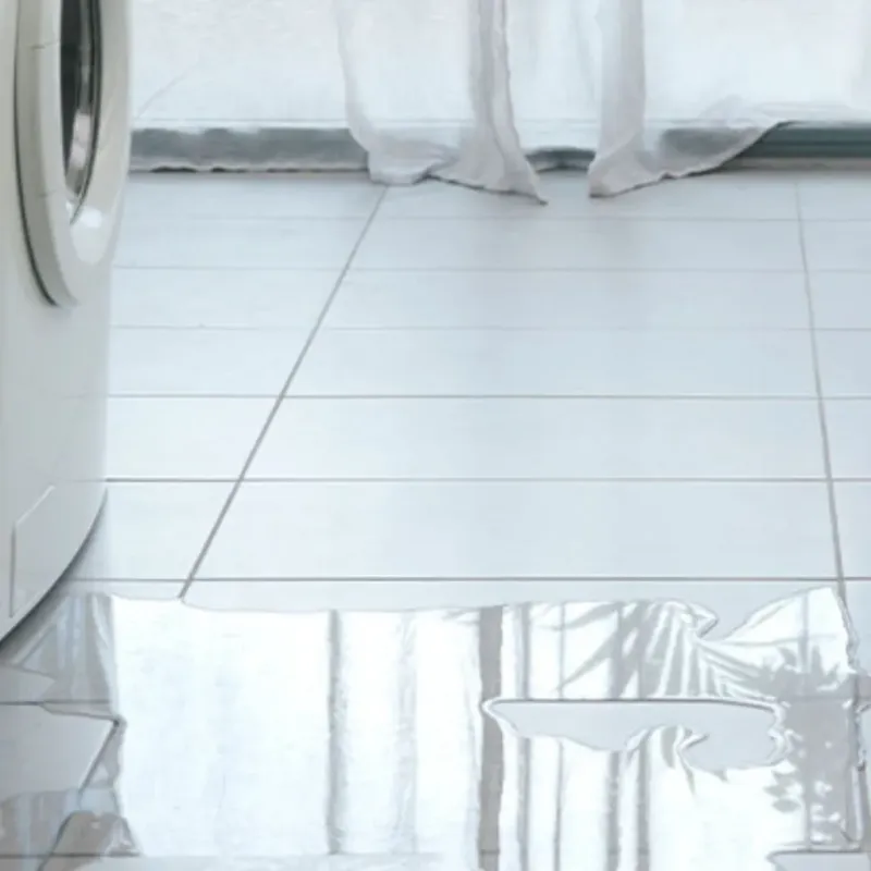 Appliance Leak Cleanup in Attalla, AL
