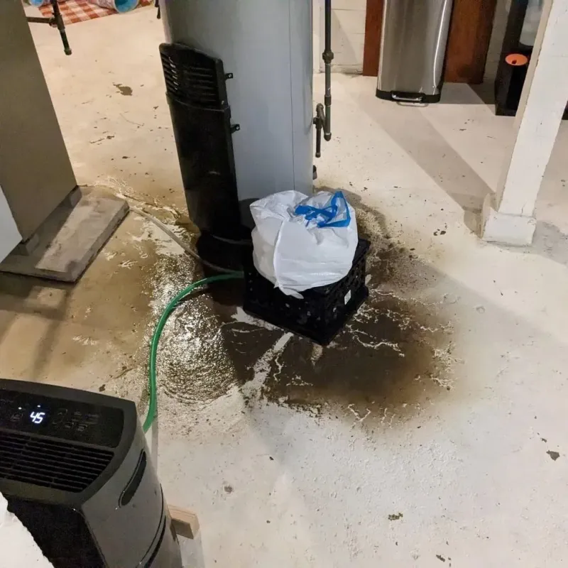 Sewage Backup Cleanup Service in Attalla, AL